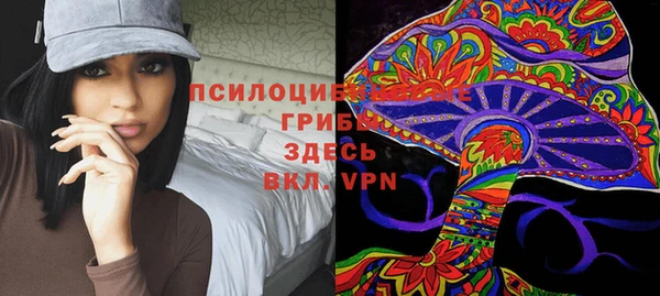 PSILOCYBIN Верхний Тагил